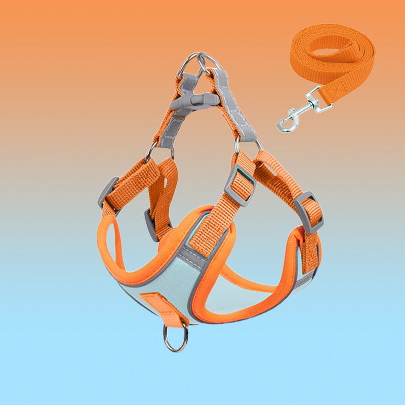 Small Dog Harness for Small Dogs - Reflective