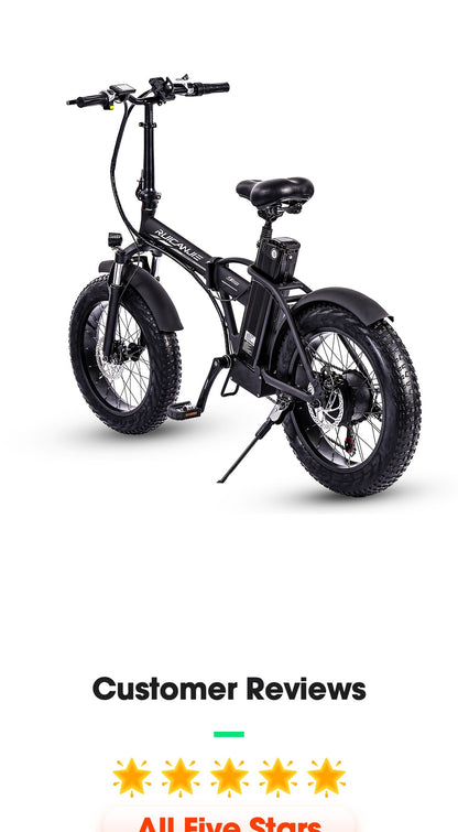 Electric bike 20 inch eBike snowbike 48V 15AH lithium battery